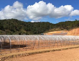 làm nông nhà kính nhàn hơn