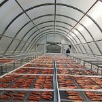 mô tả nhà kính phơi sấy